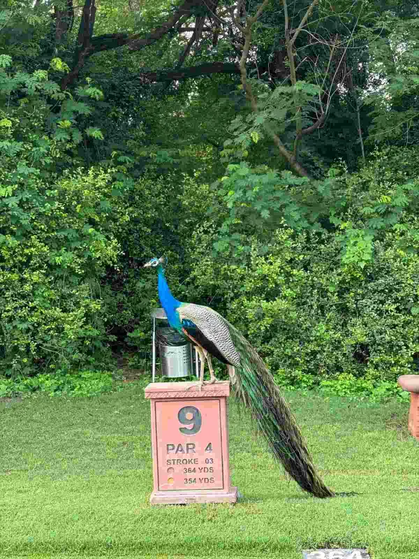 Conservation First